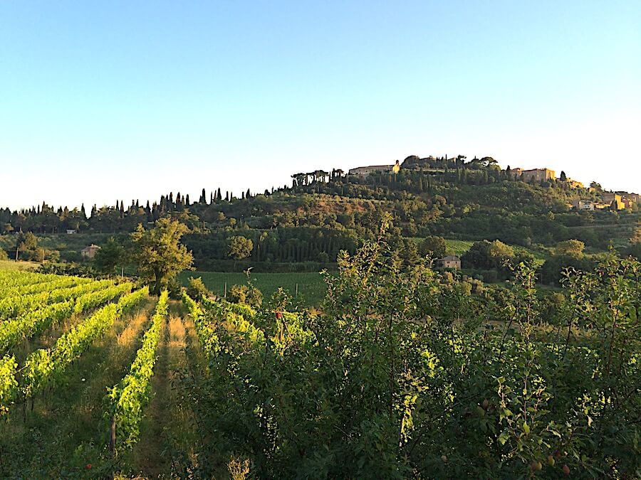 Montepulciano, Italy